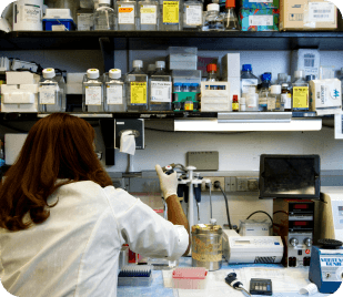 Laboratorios